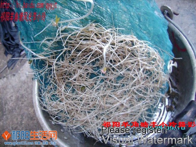 可能重复 (959).jpg