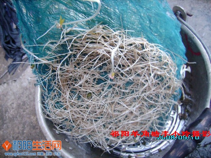 可能重复 (1072).jpg