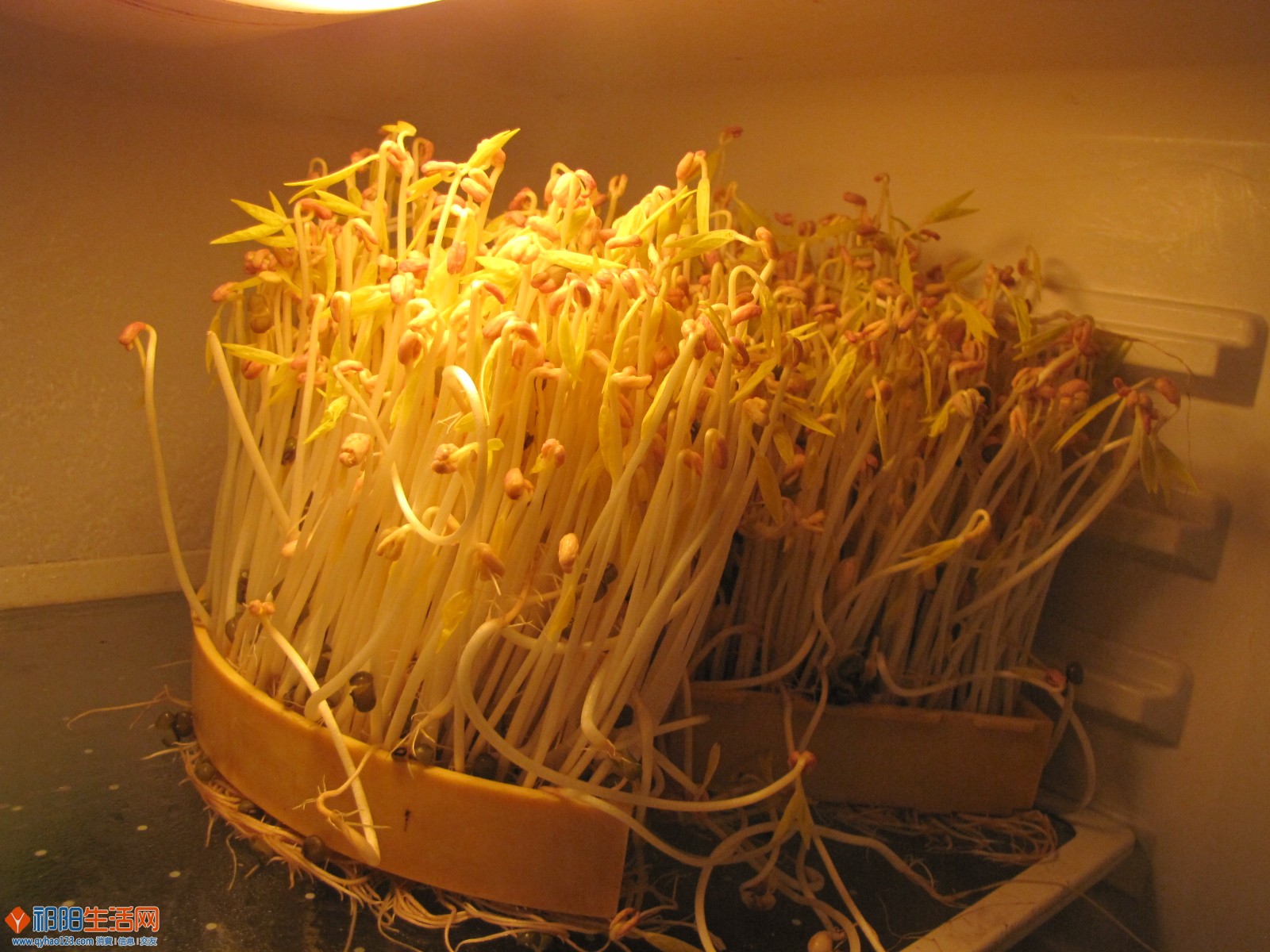 照片 678.jpg