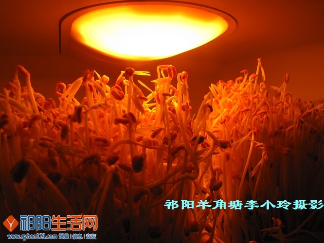 照片 654.jpg