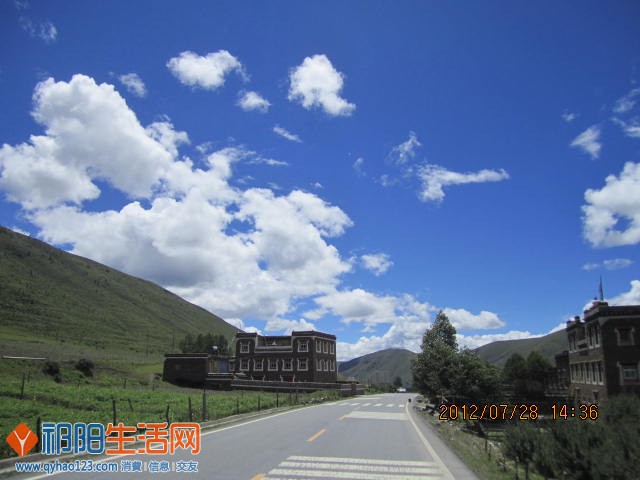 照片 431.jpg