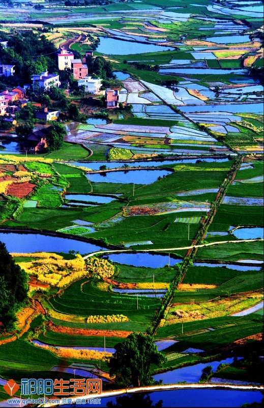 锦绣田园1.jpg