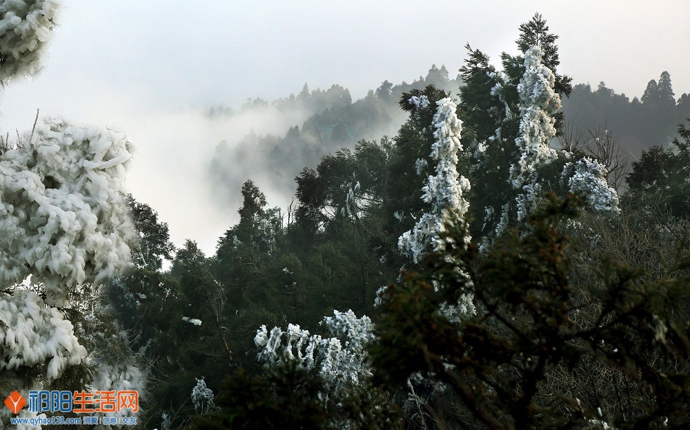 瑞雪兆南岳副本.jpg