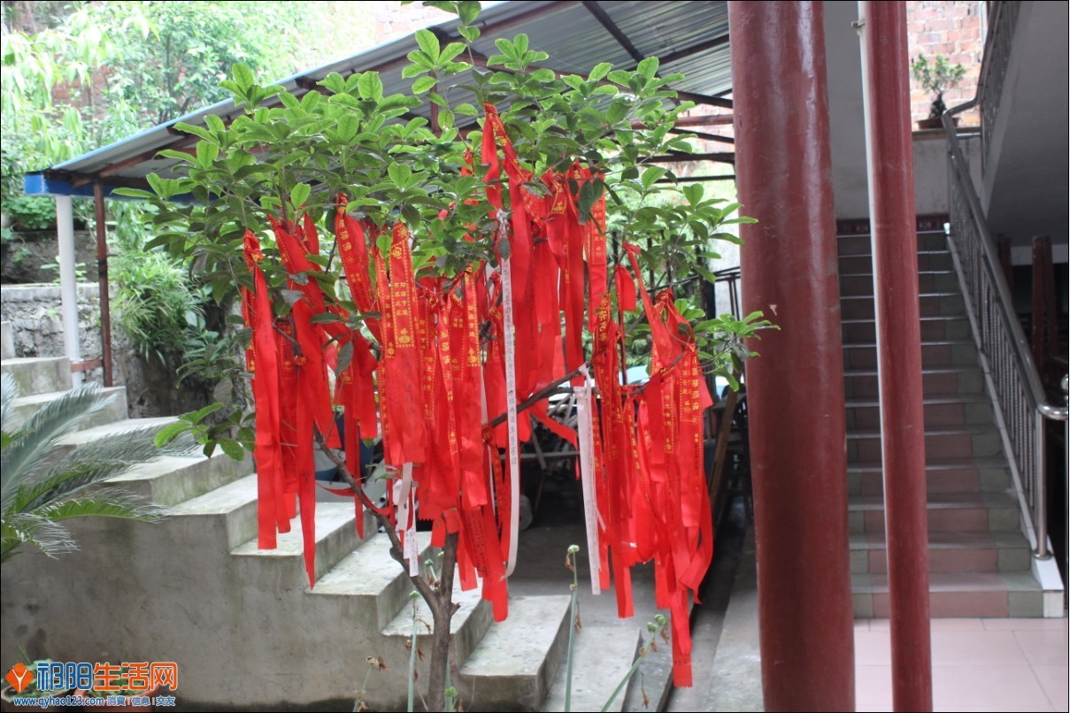 QQ图片20130608134546.jpg