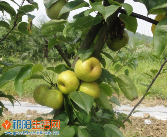 QQ截图20130615172737.png