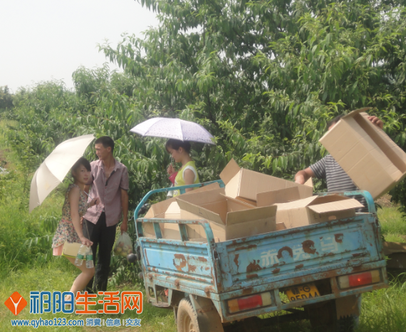 QQ截图20130615172916.png