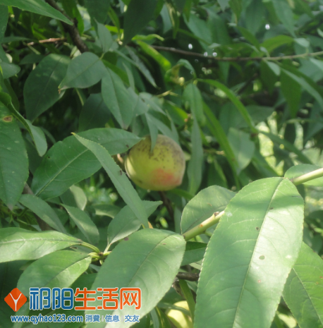 QQ截图20130615172941.png
