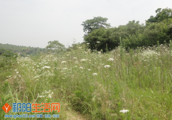 QQ截图20130615173341.png