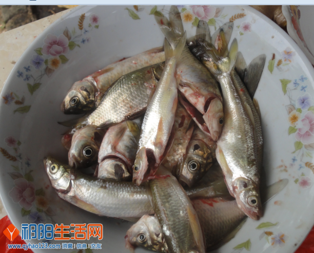 QQ截图20130615173424.png
