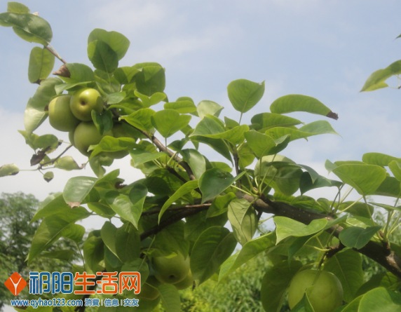 QQ截图20130615172842.png