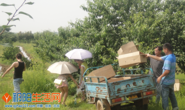 QQ截图20130615172903.png