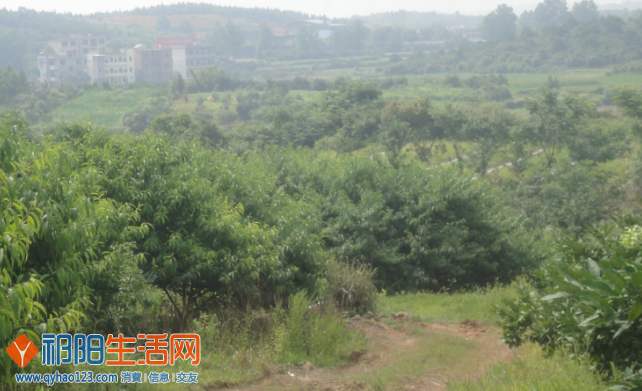 QQ截图20130615173034.png