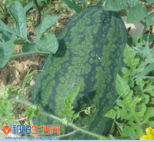 QQ截图20130615173146.png