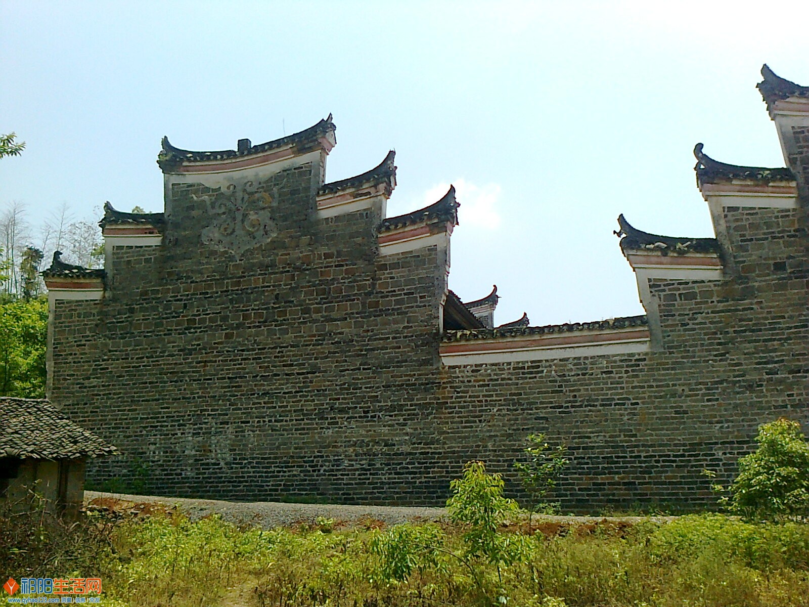 照片2988.jpg