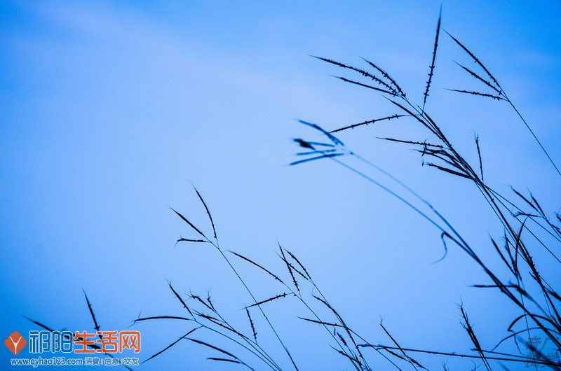 DSC_3208.JPG