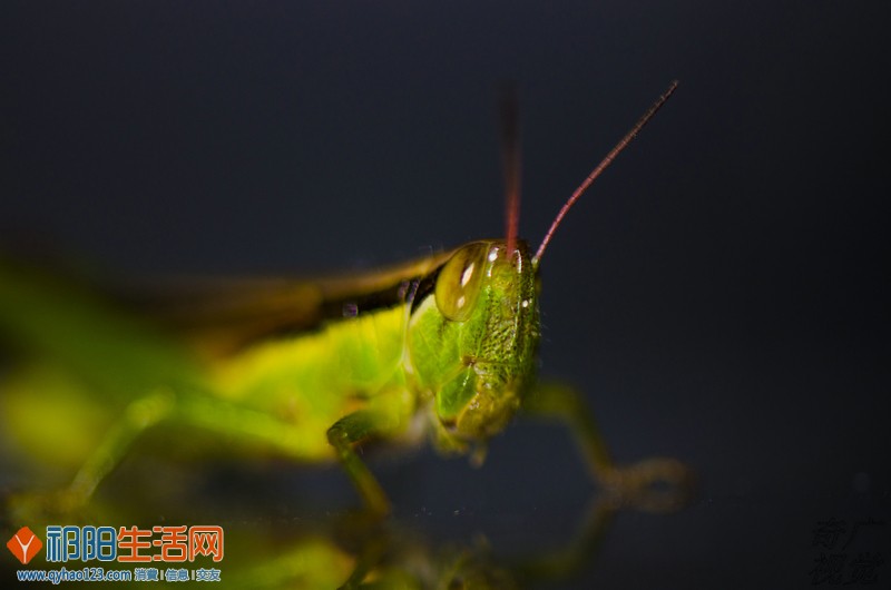 DSC_3622.jpg
