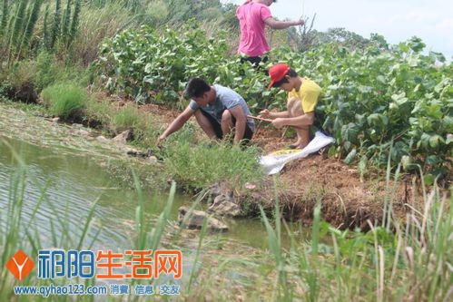 钓黄花蟮第一步，先放钩子