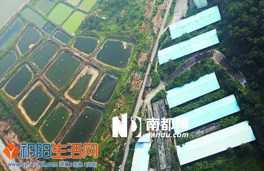 三灶经济总量_三灶鹤舞