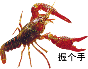 QQ图片20131006083608.gif