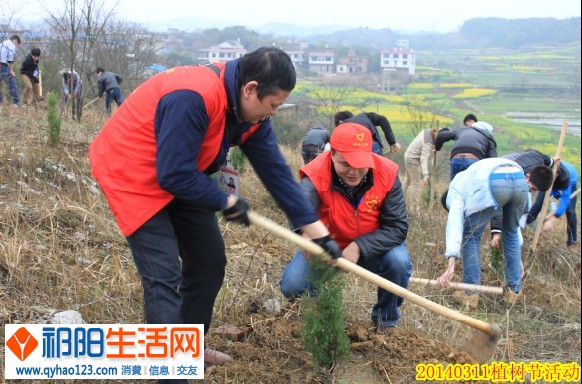 GDD1WDZLG11VCD4EN~ULN)9.jpg