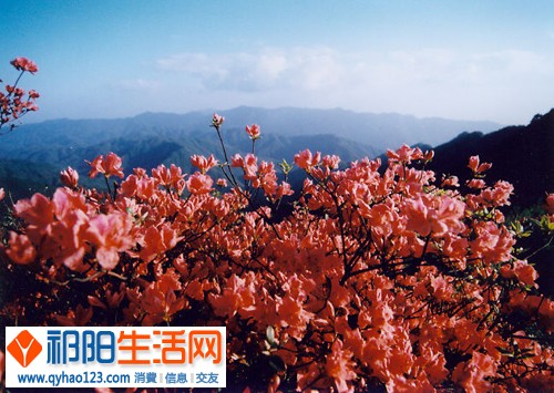 20120215144731850.jpg