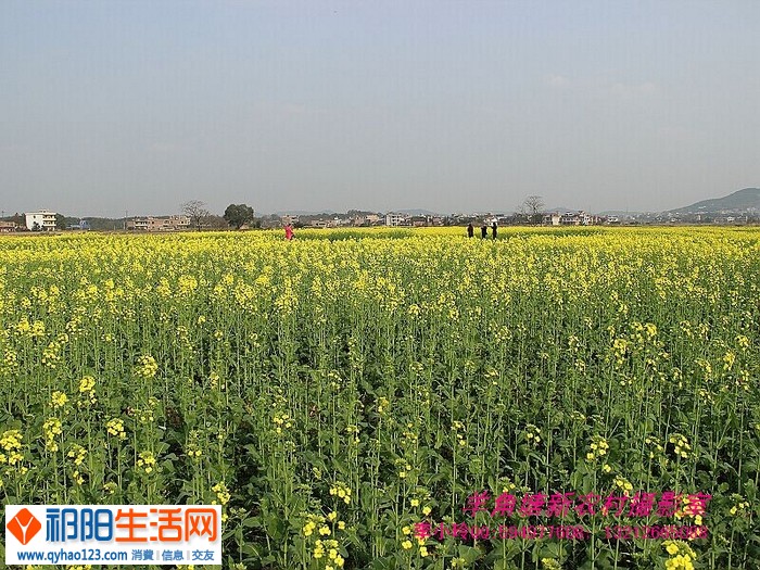 QQ图片20150305105937.jpg
