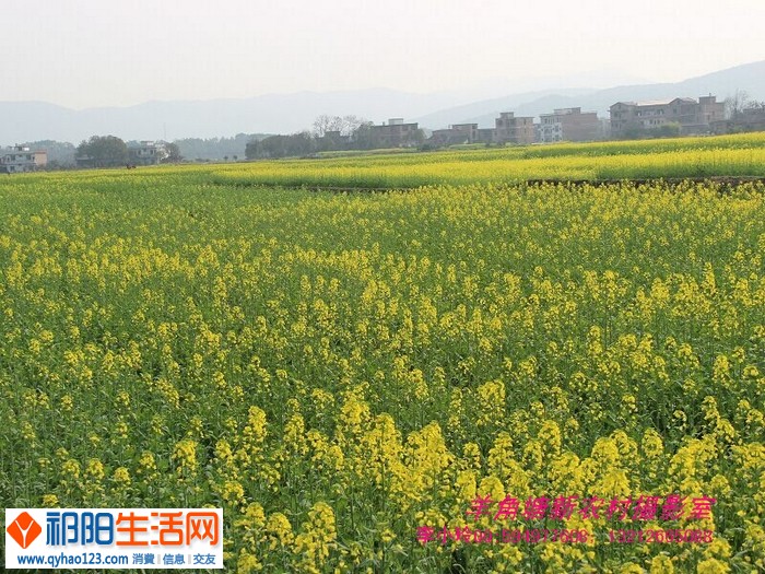 QQ图片20150305105918.jpg