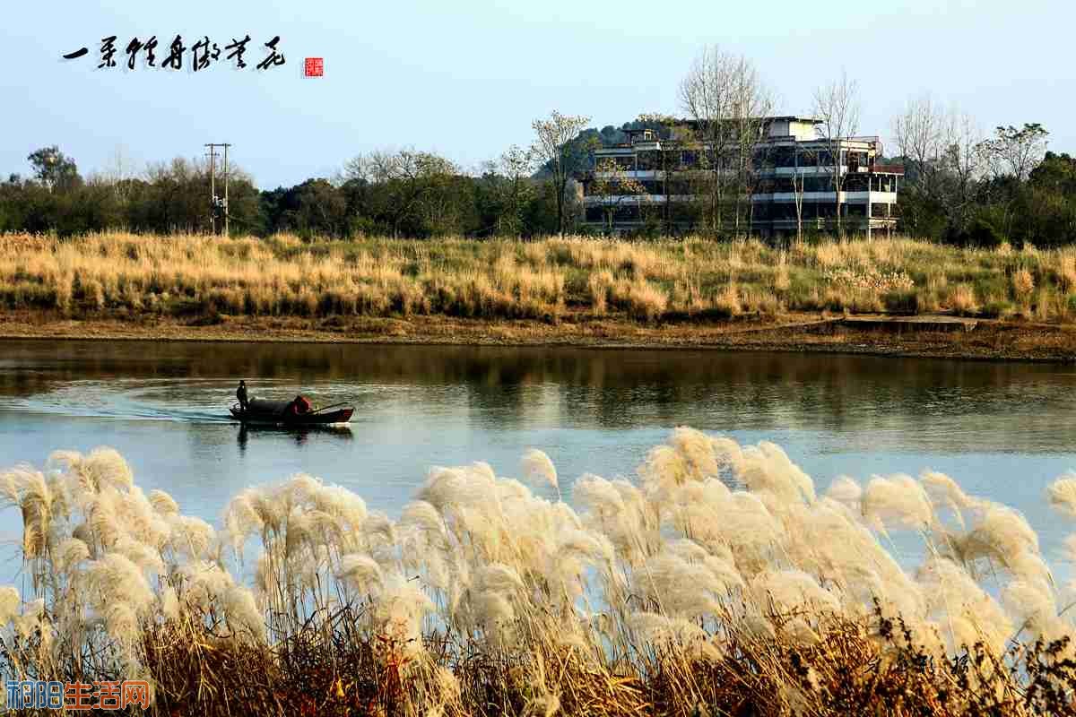 《一叶轻舟傲芦花》.jpg