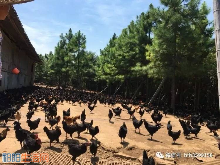微信图片_20170807093820.jpg