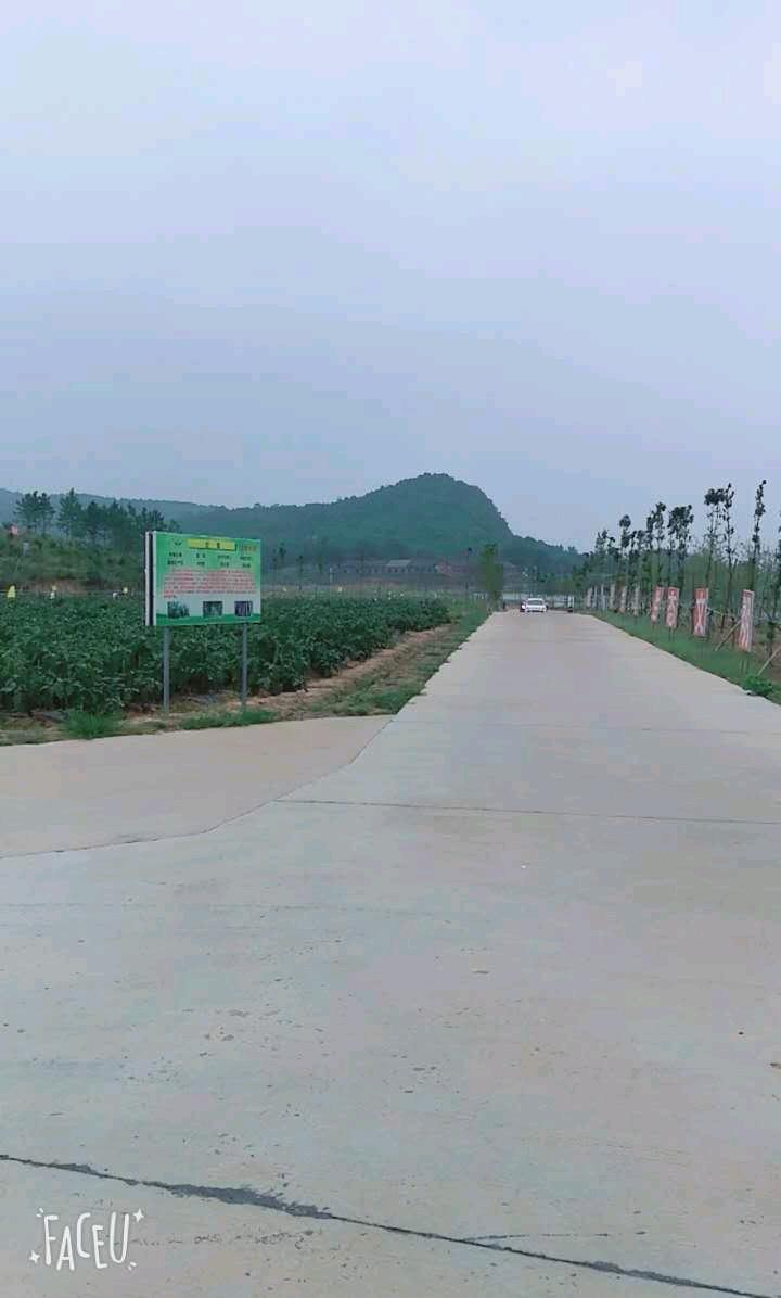 mmexport1507513014119.jpeg