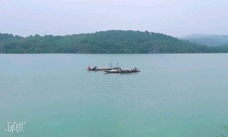 mmexport1507512995981.jpeg