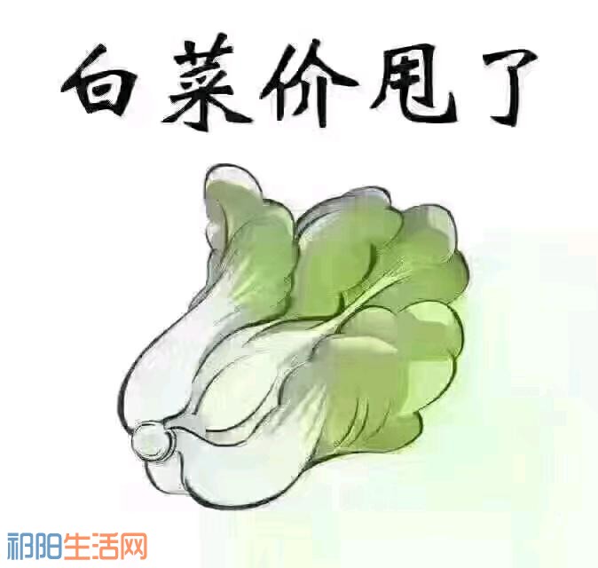 BxtA6pxBbXNB.jpg