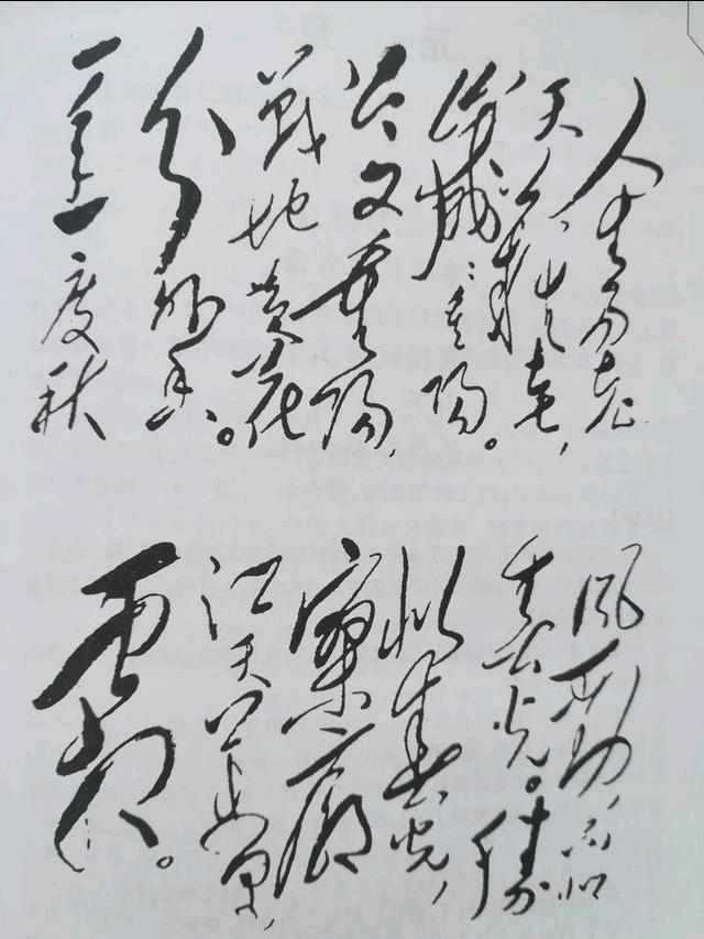 95d6c104397158a08388244aae1fb999.jpeg