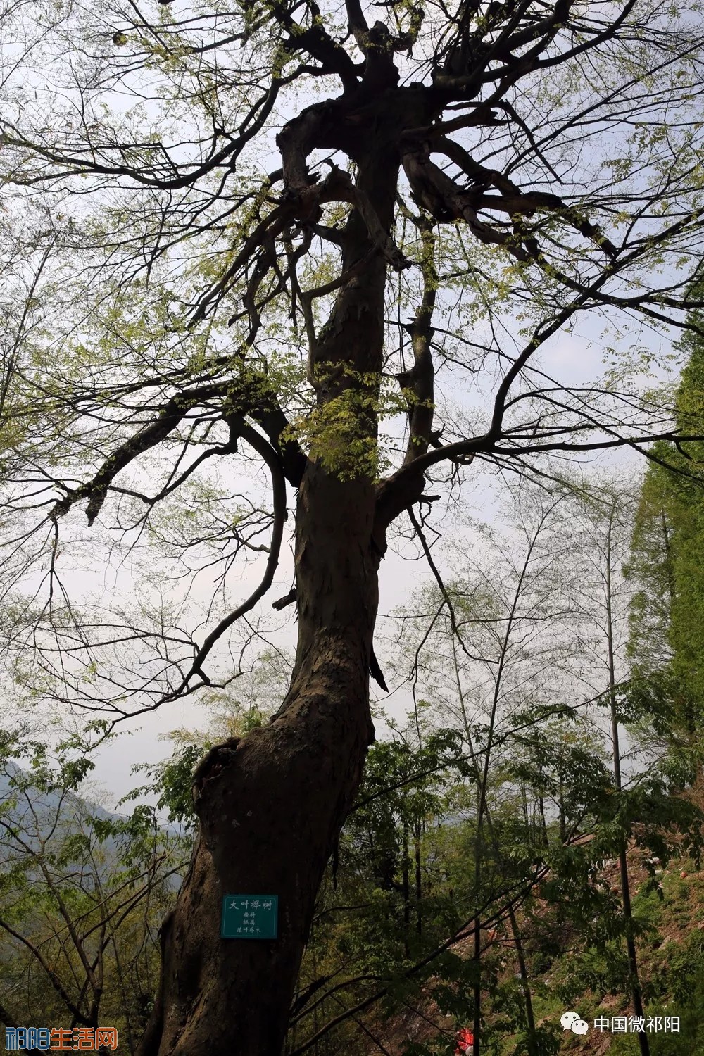 20180412_212124_024.jpg