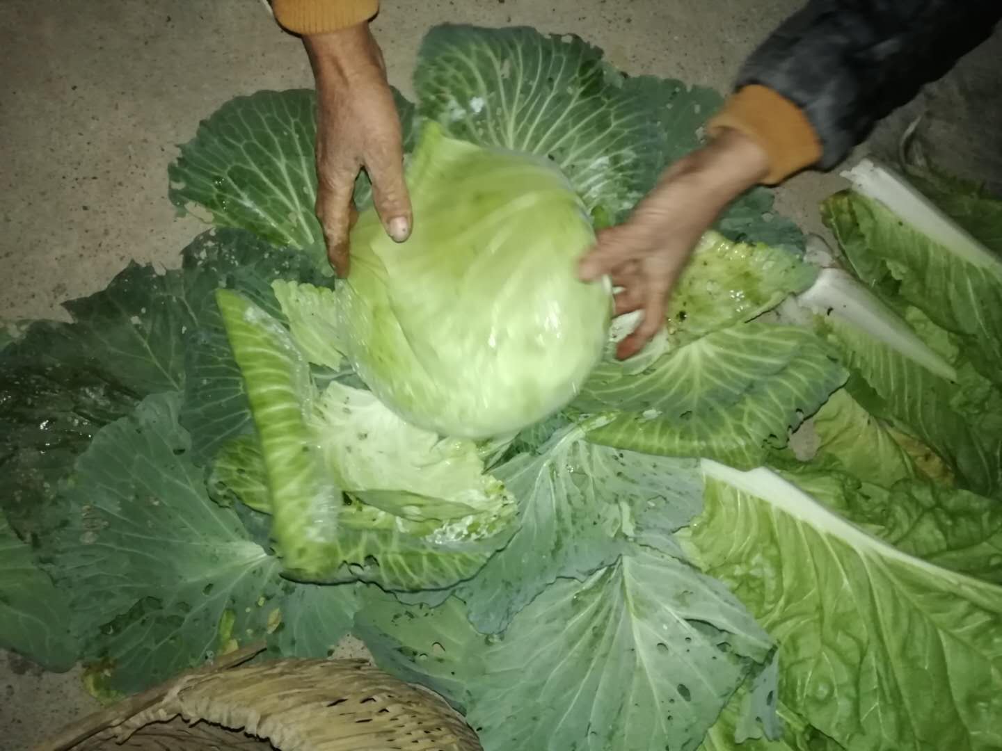 EC668D59F97CD2CBEB409EFE69E4A196.jpeg