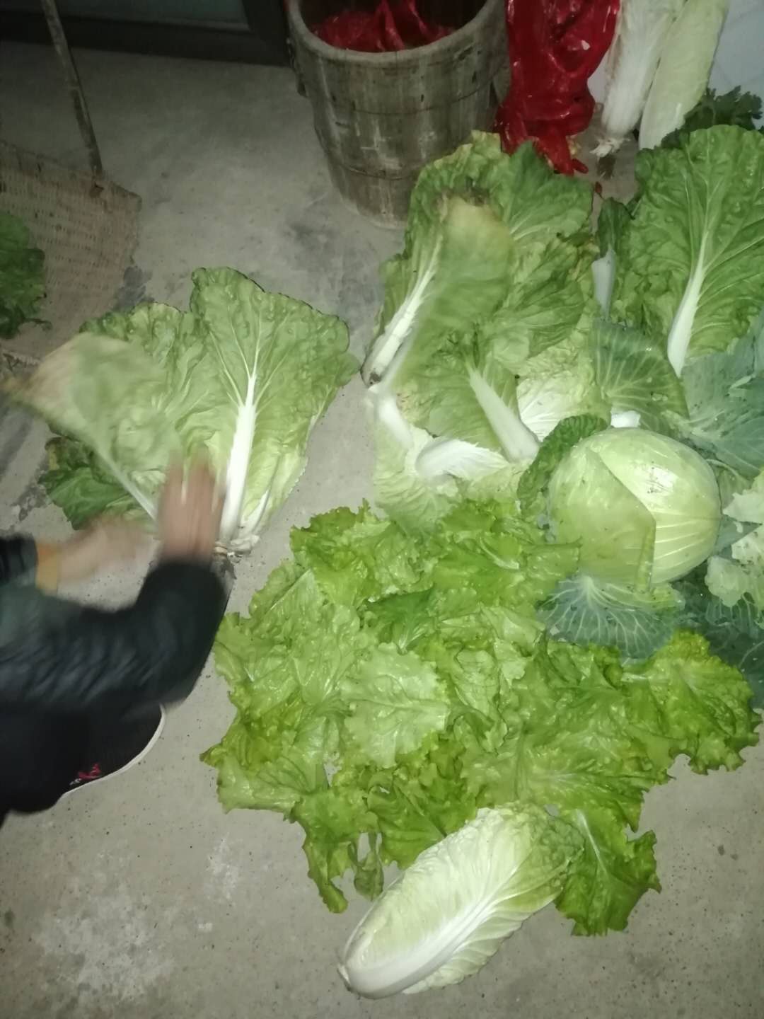 F7515ED3B4BE2119E8D974E12C5707F6.jpeg