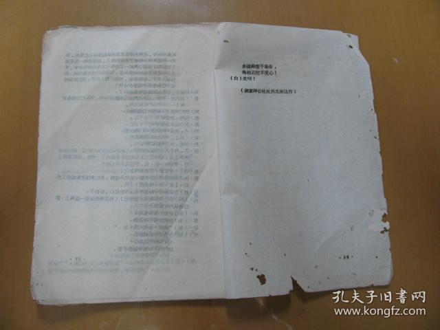 037e3bac67d31c3b86_b.jpg