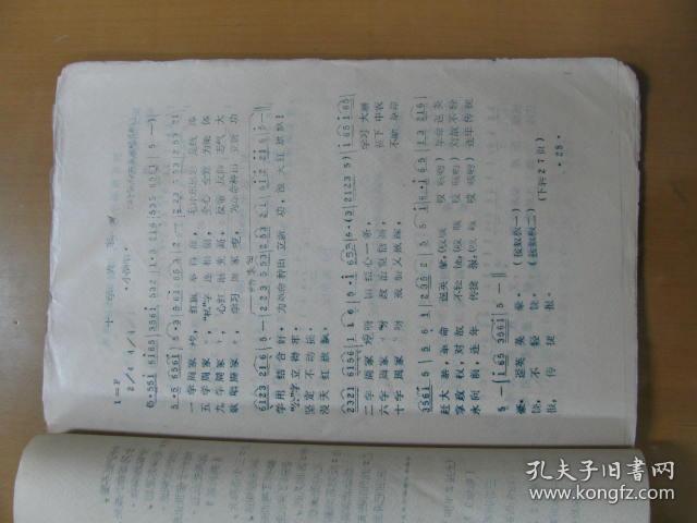 037e3b62a75a25c913_b.jpg
