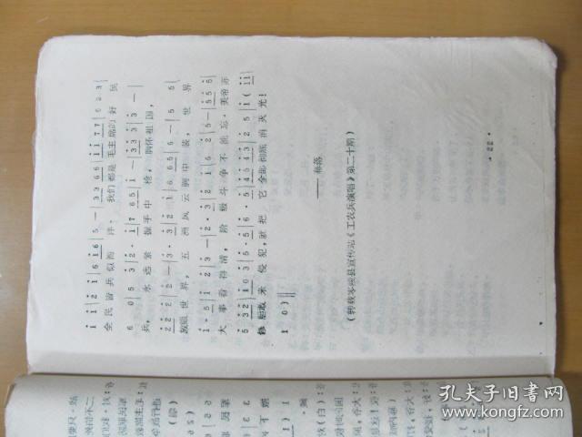 037e3b62073596887b_b.jpg