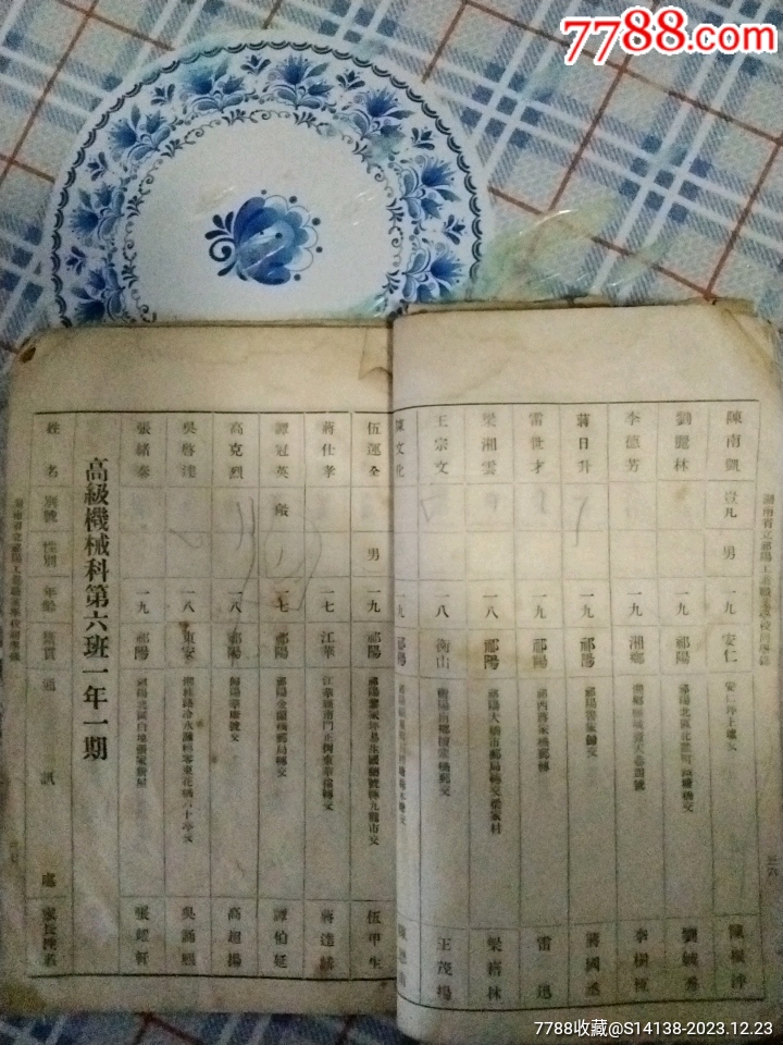 47206102g.jpg