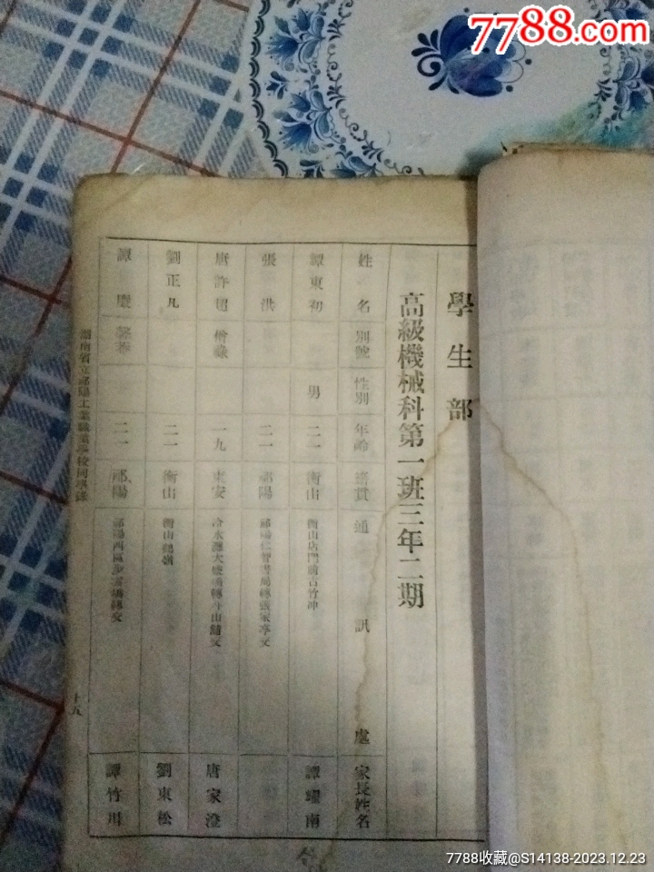 47206102b.jpg