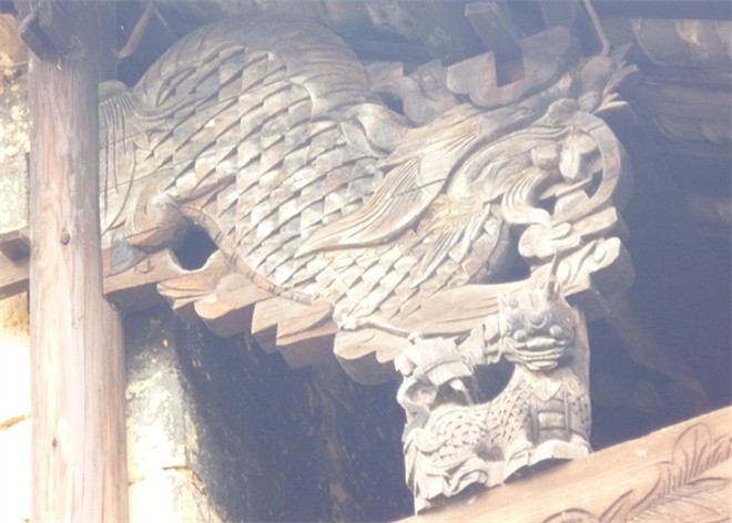 P1010725_副本.jpg
