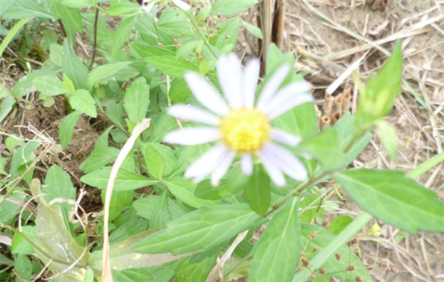 P1010661_副本.jpg
