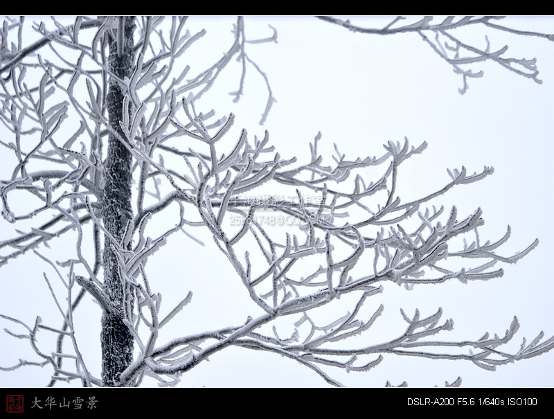 大华山雪景D.jpg