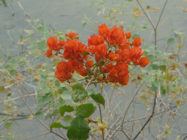 DSC04890.JPG