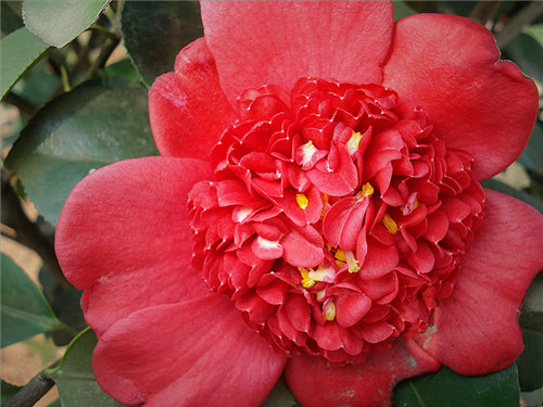 dsc09839_副本_副本.jpg