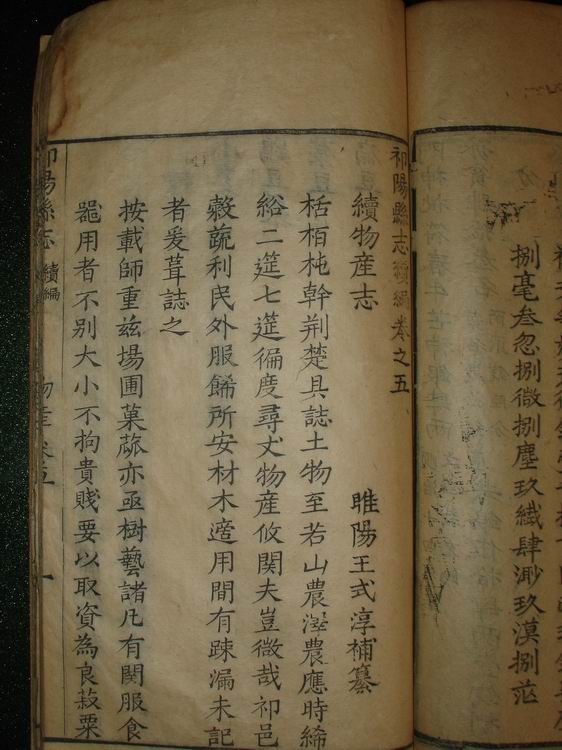 照片 255.jpg