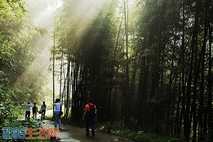 空山新雨后