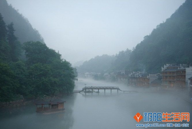 凤凰1.jpg