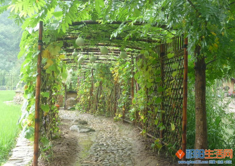 P1050430_副本.jpg